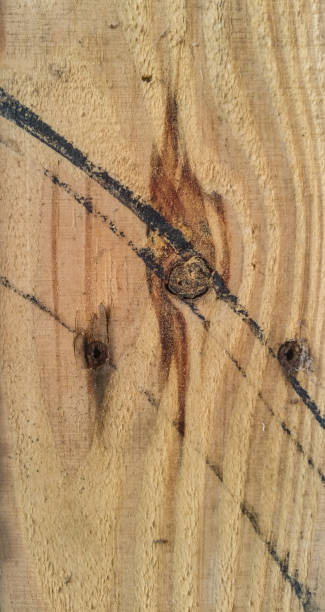 Burnt Pine Texture stock photo