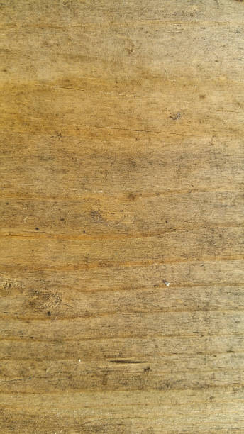 Grunge Pine Texture stock photo