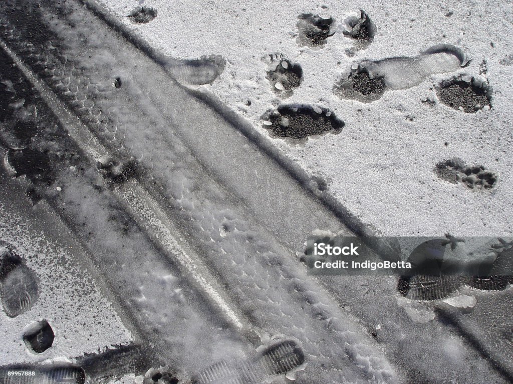 Primera la nieve - Foto de stock de Aire libre libre de derechos