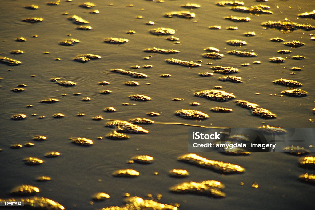 Astratto bolle spiaggia - Foto stock royalty-free di Acqua