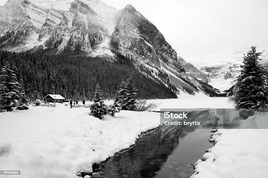 O inverno - Foto de stock de América do Norte royalty-free