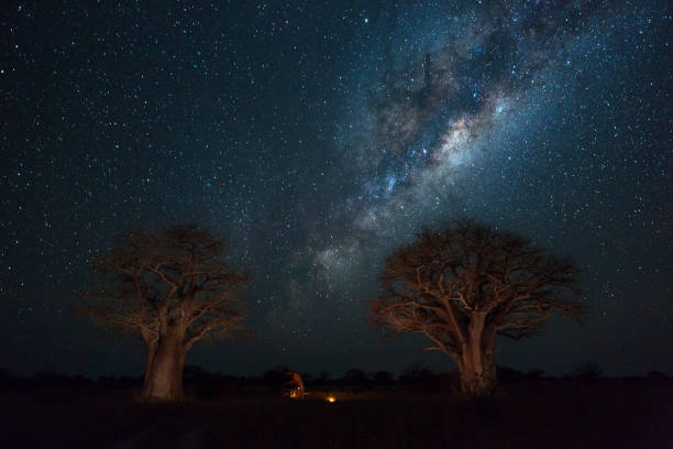 istock Baines Campsite 2 under the milkyway 899584704