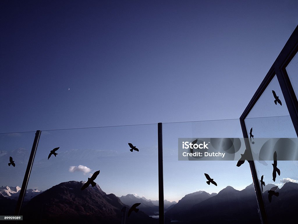 Glas wind Bildschirm. - Lizenzfrei Vogel Stock-Foto