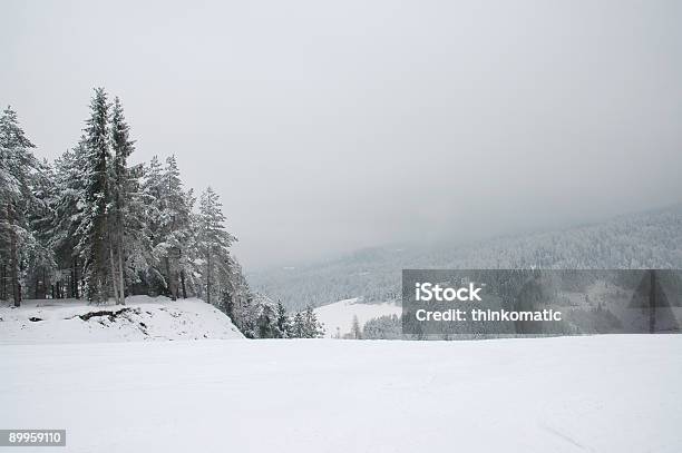 スキー場 - カラー画像のストックフォトや画像を多数ご用意 - カラー画像, ゲレンデ, スキー