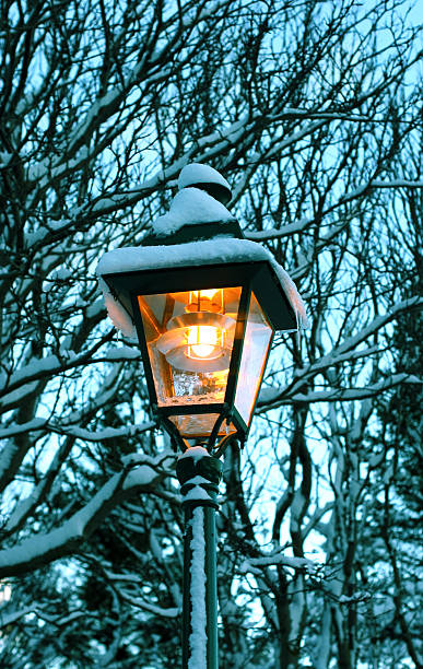istock vintage streetlamp with fresh snow 89959164