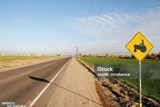 Foto de Fazendas e mais fotos de stock de Castanha-da-India - Castanha-da-India, Arizona, Agricultura