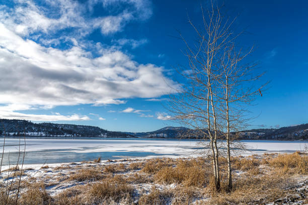 istock Tree by frozen lake in Idaho. 899592518