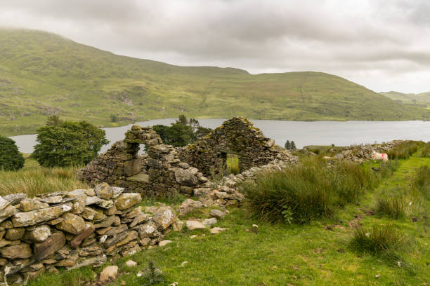 istock Llyn Cwmystradllyn, Wales, UK 899592584