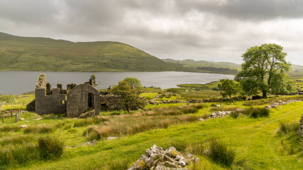 istock Llyn Cwmystradllyn, Wales, UK 899592602