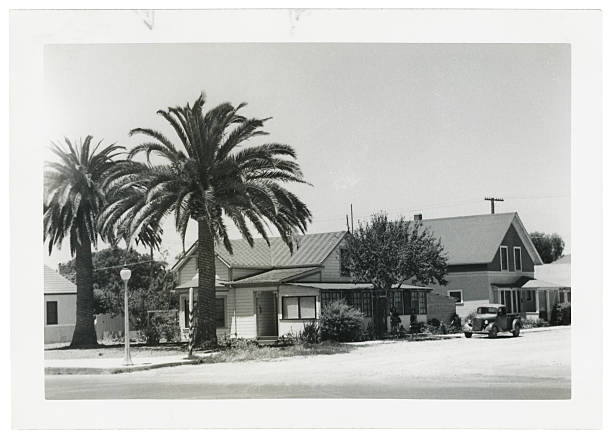 Bianco e nero foto retrò casa con palme - foto stock