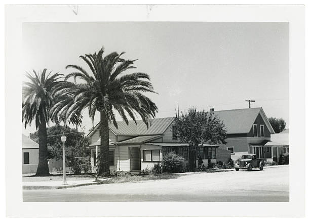 Black and White Photo Retro House with Palm Trees stock photo