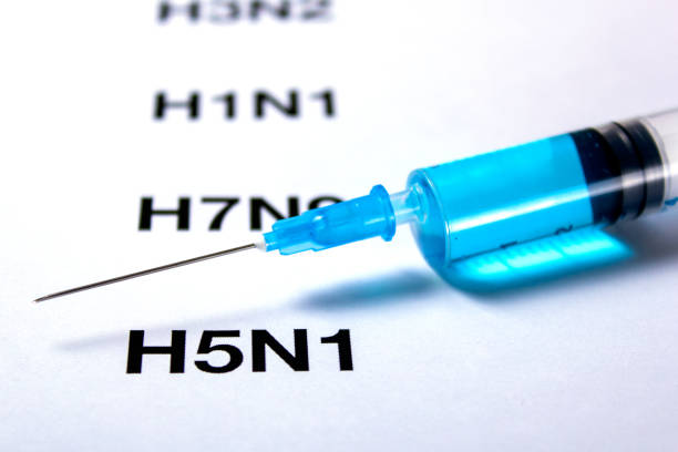 istock H5N1 Virus Influenza Virus Replication Cycle and syringe with vaccine 899594132