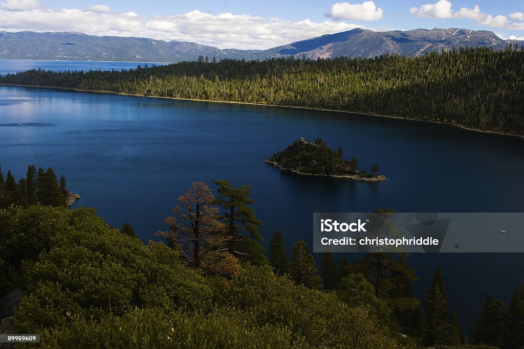 Lake Tahoe-Insel - Lizenzfrei Baum Stock-Foto