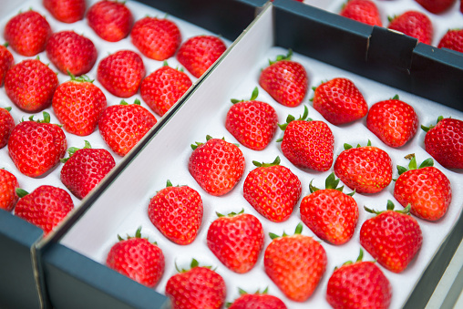 Fresh organic strawberries for sale in market, fruit