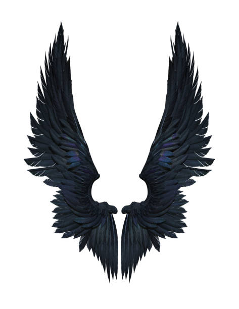 ailes de démon, plumage noir aile isolée on white background - ailes déployées photos et images de collection