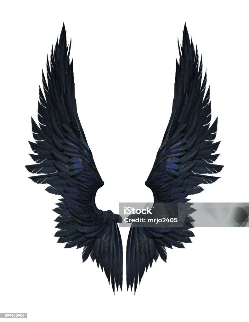 Demon Wings, Black Wing Plumage Isolated on White Background 3d Illustration Demon Wings, Black Wing Plumage Isolated on White Background whit clipping path. Black Color Stock Photo