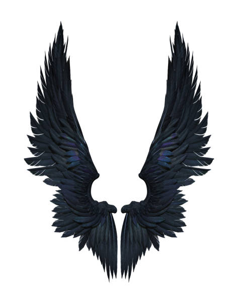 Demon Wings, Black Wing Plumage Isolated on White Background 3d Illustration Demon Wings, Black Wing Plumage Isolated on White Background whit clipping path. spread wings stock pictures, royalty-free photos & images