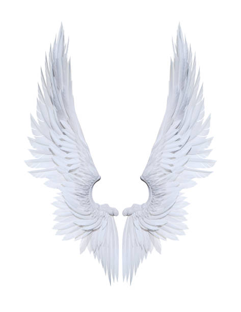 istock Angel wings, white wing plumage isolated on white background 899600930