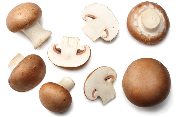istock Fresh champignon mushrooms isolated on white background. top view 899602104