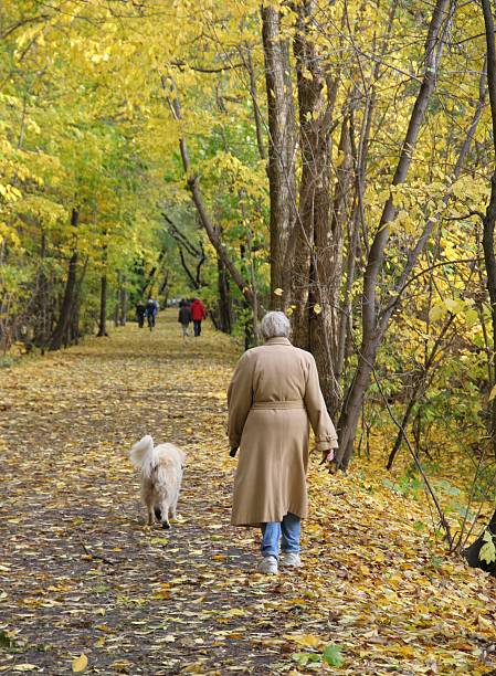 istock old lady walking dog in the autumn 89960211