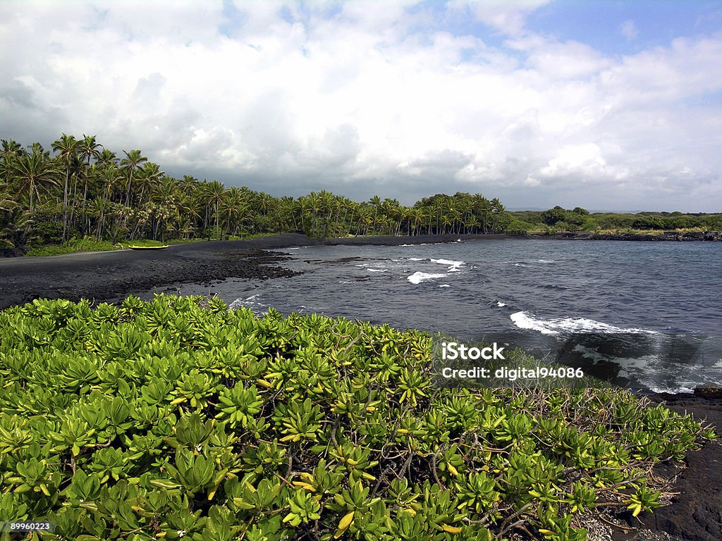 Black Sand Beach  Beach Stock Photo