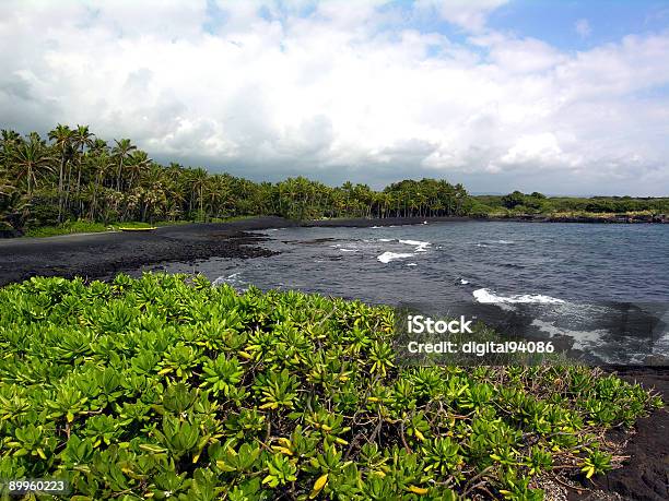 Black Sand Beach Stock Photo - Download Image Now - Beach, Black Color, Botany