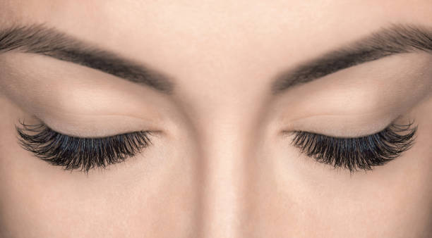Eyelash extension procedure. Eyelash extension procedure. Beautiful Woman with long lashes in a beauty salon. lash and brow comb stock pictures, royalty-free photos & images