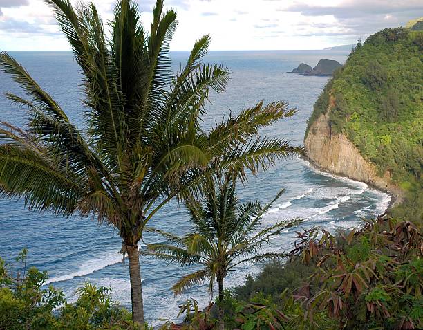 Pololu Lookout  pololu stock pictures, royalty-free photos & images