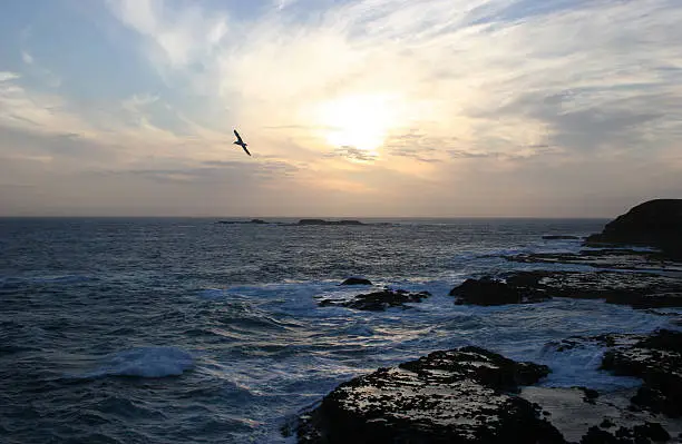 Photo of Rocky Beach Sunset