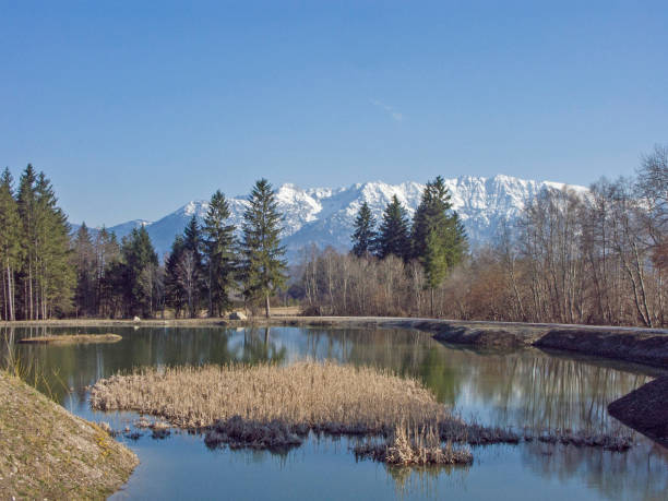 istock Idyllic small bog lake in Murnau Moos 899607360