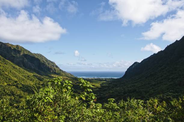istock Mountain ranges landscape in Hawaii during sunset 899607438