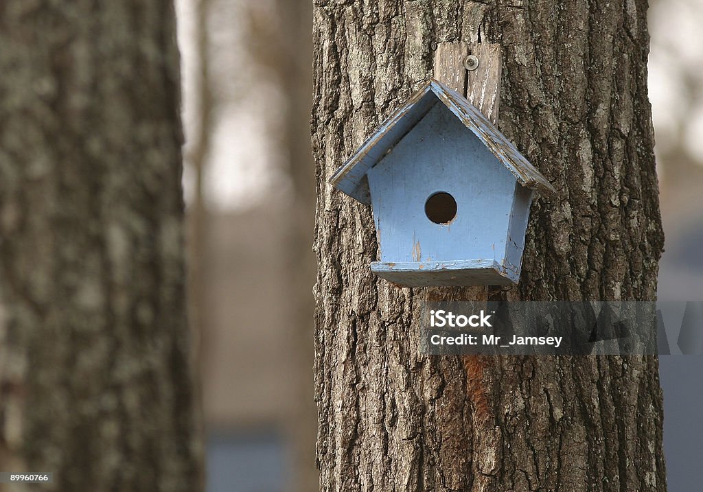 Blue Bird House - Lizenzfrei Hausgarten Stock-Foto