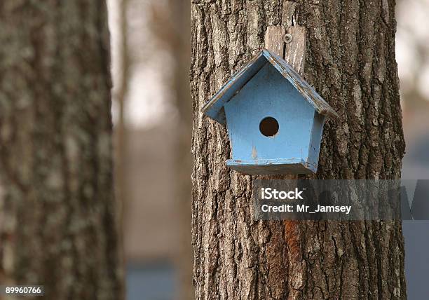 Blue Bird House Stockfoto und mehr Bilder von Hausgarten - Hausgarten, Vogelhäuschen, Baum