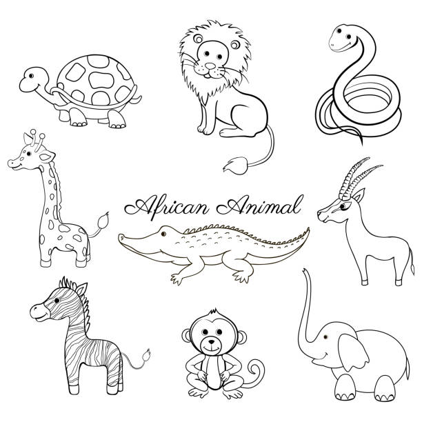 ilustrações de stock, clip art, desenhos animados e ícones de african cartoon animal turtle, giraffe, lion, zebra, crocodile, gazelle, snake, zebra, monkey, elephant isolated on white, vector doodle illustration, line art, character design for greeting card - lion africa safari south africa