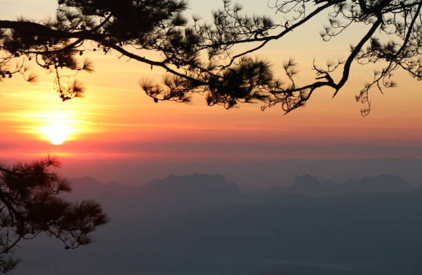 istock Nature landscape light and mountain with pine branch 899618536