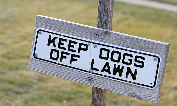 Keep Dogs Off Lawn stock photo