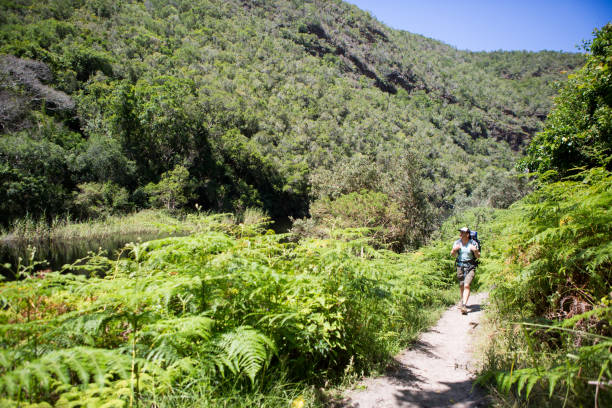 istock Adult male hiking 899623880