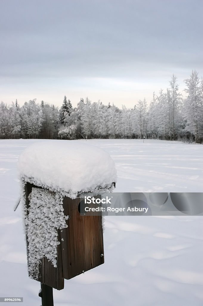 Zima ptak House - Zbiór zdjęć royalty-free (Bez ludzi)