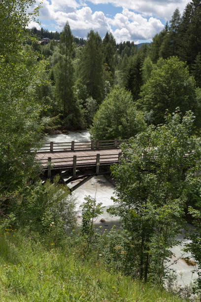istock Wooden Bridge on the River among Vegetation 899632398