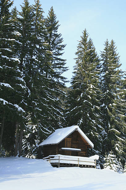istock Little cottage in the snow 89963522