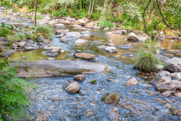 istock Great boulders on Umia river 899639854