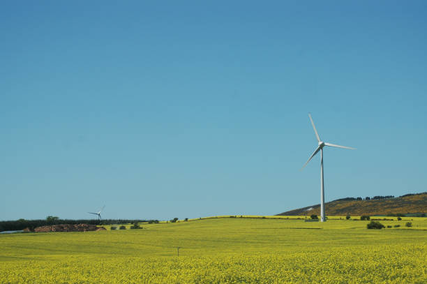 istock Renewable Energy in Aberdeenshire, Scotland 899644674