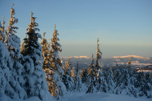 istock Snow covered forest against mountains landscape 899653520