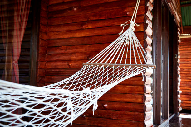 istock summer hanging chair palm tree nature background 899675538
