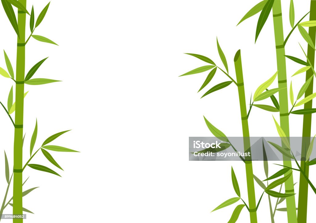 緑竹バック グラウンド - 竹のロイヤリティフリーベクトルアート