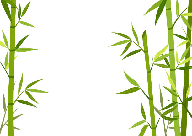 зеленый бамбуковый фон - bamboo stock illustrations