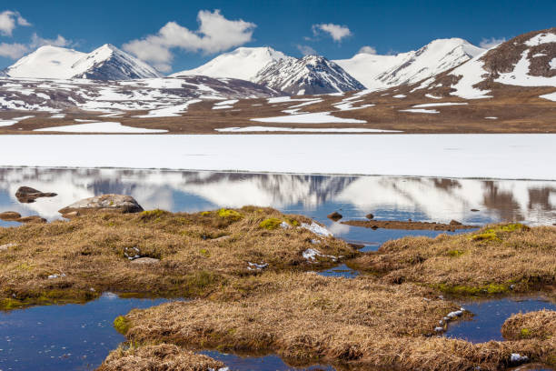 istock Barskoon (Arabel) Syrts at Issyk Kul Region 899684494