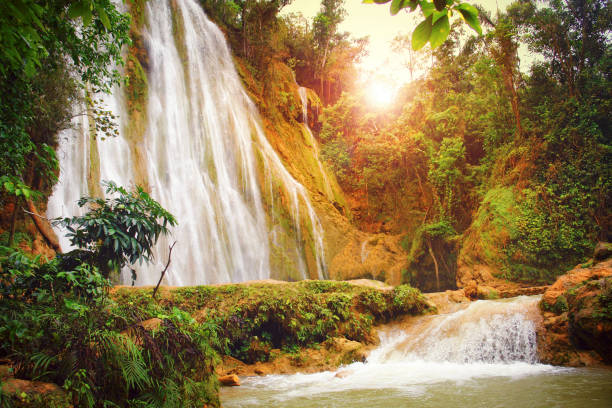 The Limon waterfall El Limon Waterfall in Las Terrenas dominican republic stock pictures, royalty-free photos & images