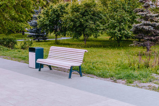istock Wooden bench in the park 899688194