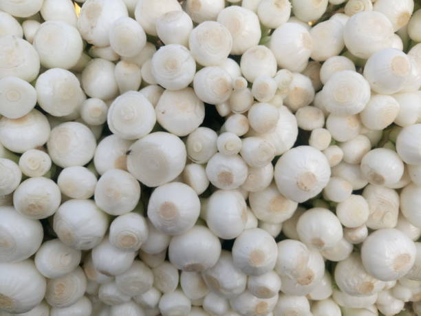 istock Close-up shot of garlic background 899690754